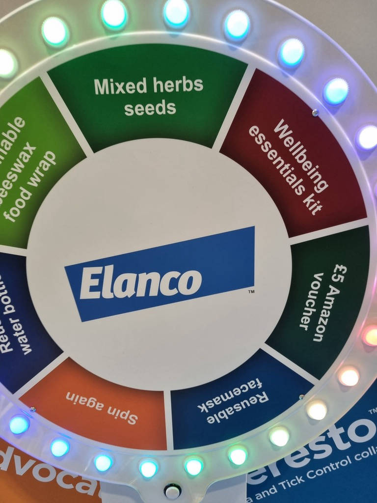 custom digital prize wheel of fortune